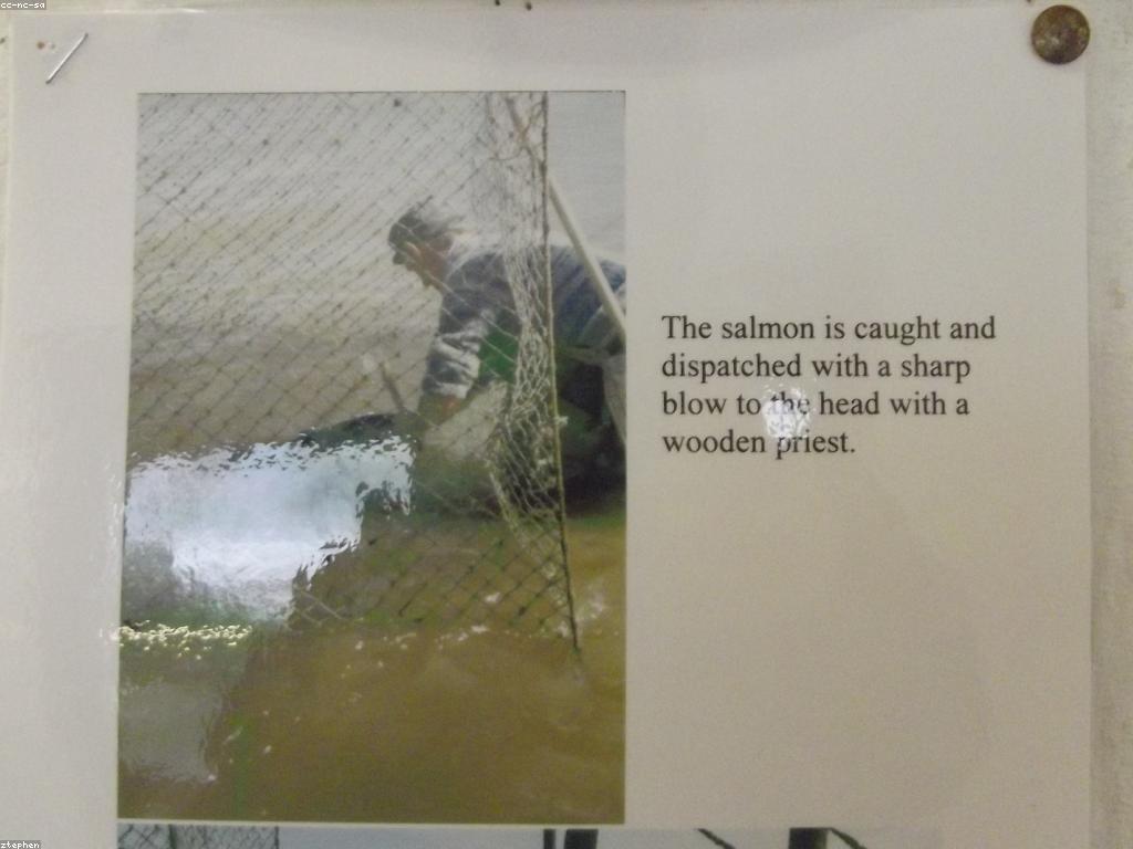 មគ្គុទេសក៍ការបាញ់ត្រី: របៀបប្រើប្រាស់ឧបករណ៍ជាច្រើនសម្រាប់ការបាញ់ត្រី