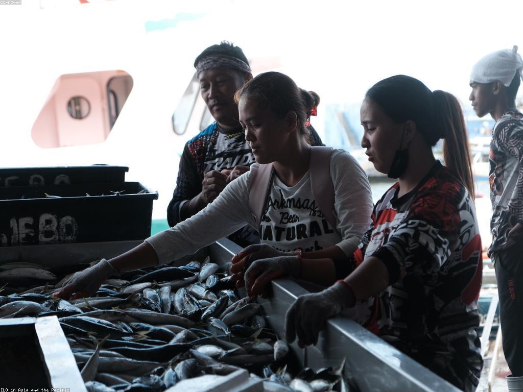 មគ្គុទេសក៍សុវត្ថិភាពសម្រាប់ការបាញ់ត្រី