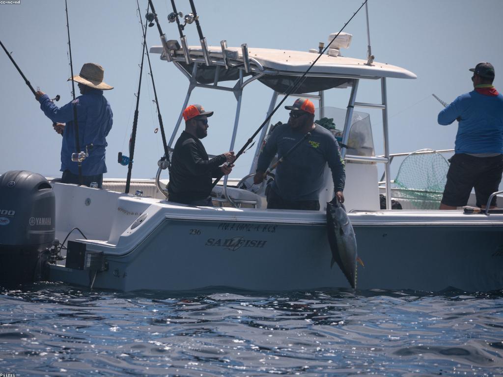 ការទិញឧបករណ៍និងសម្ភារៈសម្រាប់ហ្គេមបាញ់ត្រី