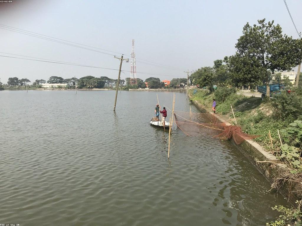 បច្ចេកទេសសំរាប់អ្នកចាប់ត្រីថ្មី