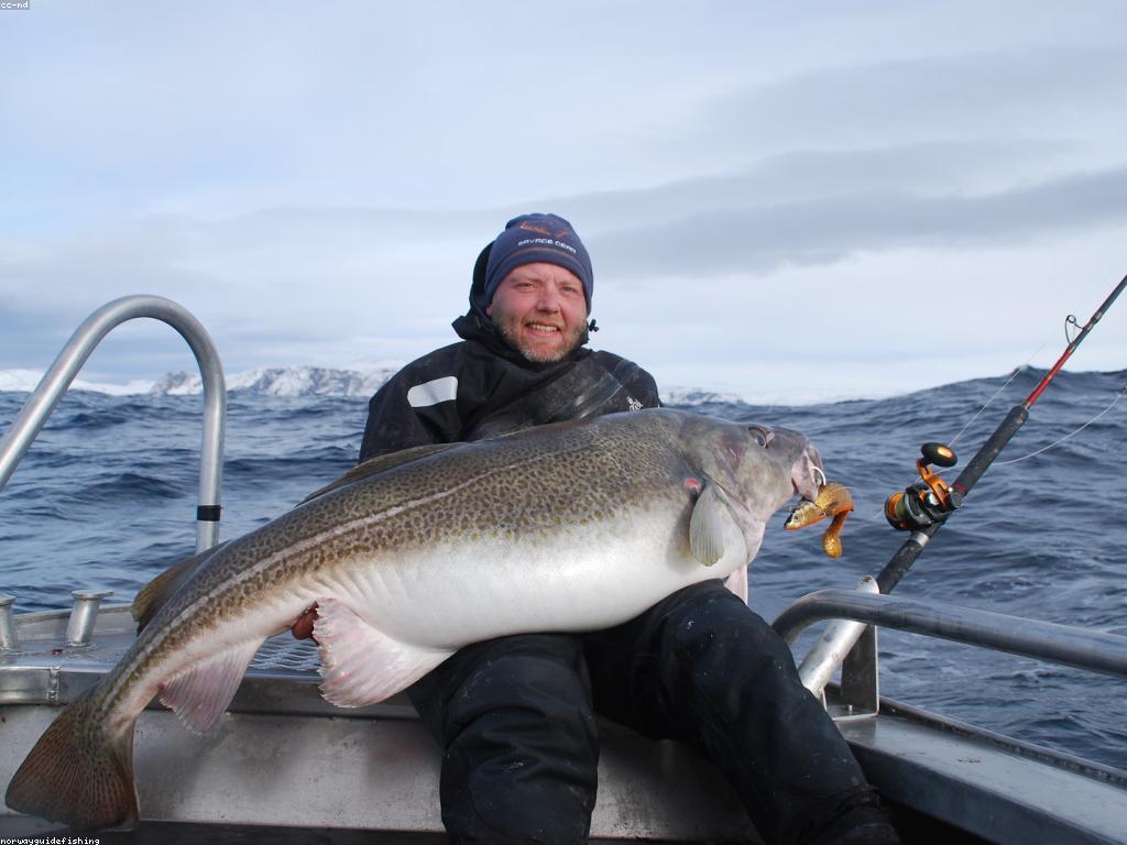 មគ្គុទេសក៍ការបាញ់ត្រី: មូលដ្ឋាននៃការបង្ហាញបច្ចេកទេសជោគជ័យ