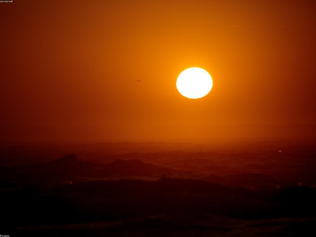 ព្រឹត្តិការណ៍និងជំនួបថ្មីៗក្នុងការលេងហ្គេមបាញ់ត្រី