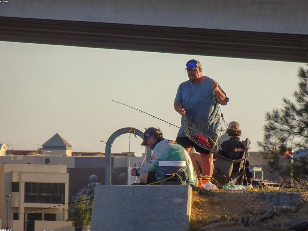 មគ្គុទេសក៍ការបាញ់ត្រី: របៀបប្រើប្រាស់ឧបករណ៍ជាច្រើនសម្រាប់ការបាញ់ត្រី