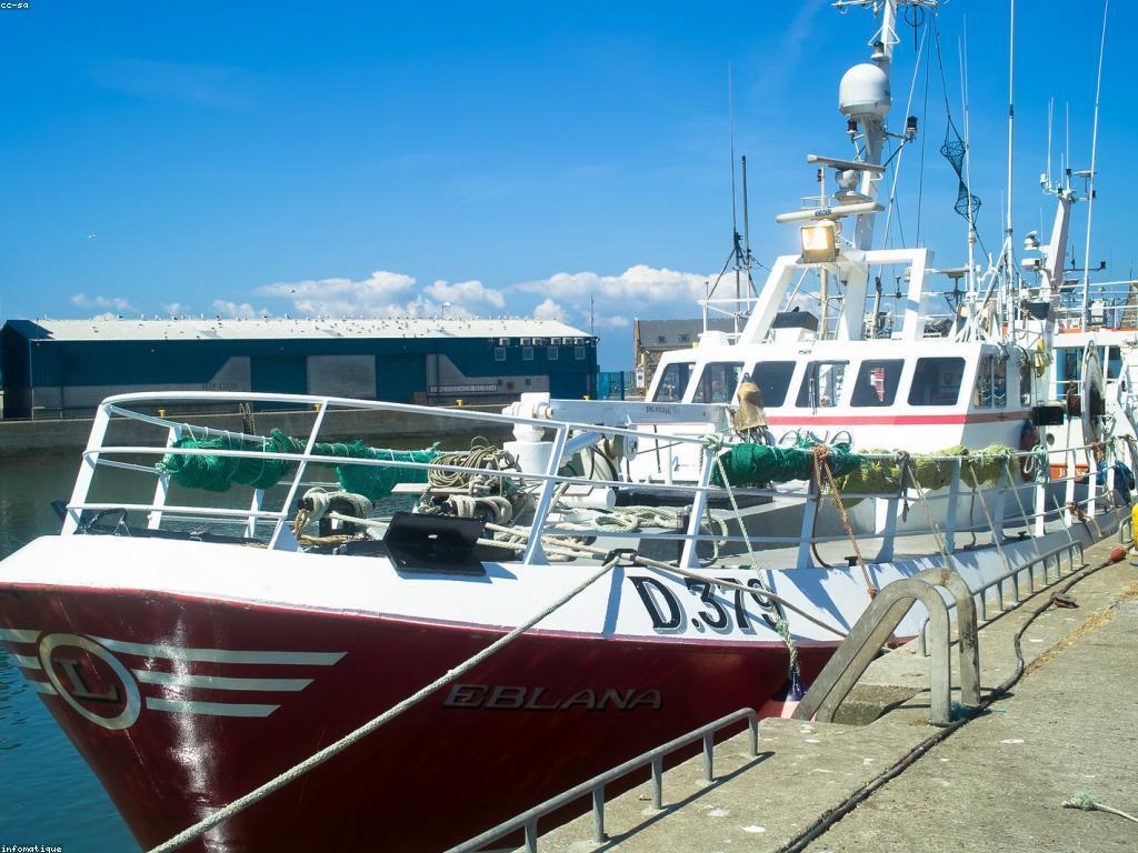 បច្ចេកទេសការបាញ់ត្រីសម្រាប់អ្នកចាប់ត្រីថ្មី